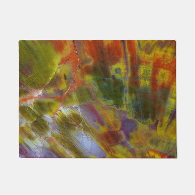 Rainbow Petrified Wood Doormat (Front)