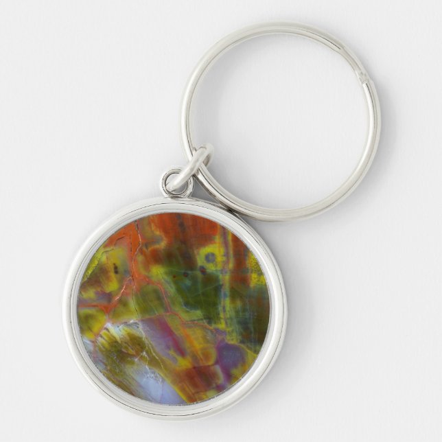 Rainbow Petrified Wood Key Ring (Front)