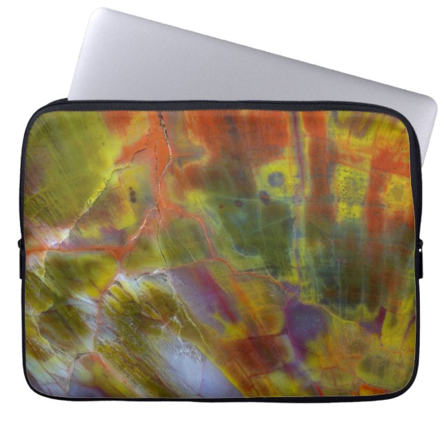 Rainbow Petrified Wood Laptop Sleeve (Front)