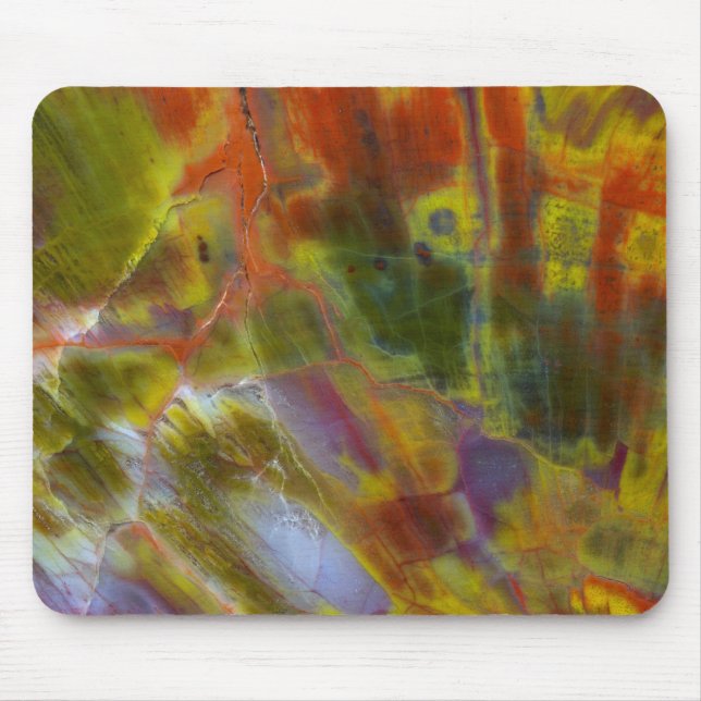 Rainbow Petrified Wood Mouse Mat (Front)