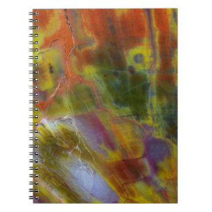 Rainbow Petrified Wood Notebook