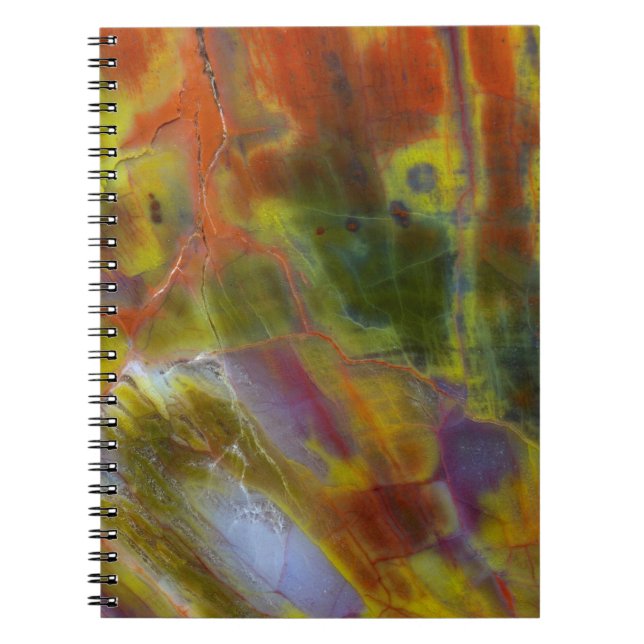 Rainbow Petrified Wood Notebook (Front)