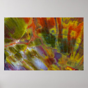Rainbow Petrified Wood Poster