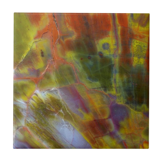 Rainbow Petrified Wood Tile (Front)