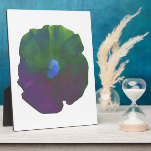 Rainbow Petunia Plaque