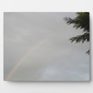 Rainbow Plaque