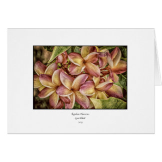 Rainbow Plumeria Blank Card