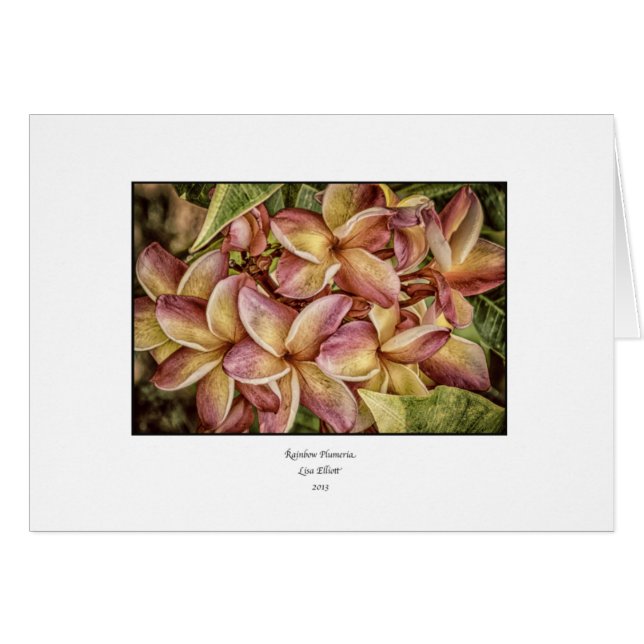 Rainbow Plumeria Blank Card (Front Horizontal)