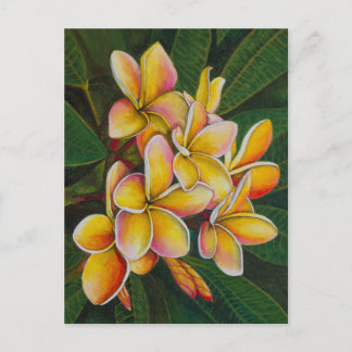 Rainbow Plumeria Postcard