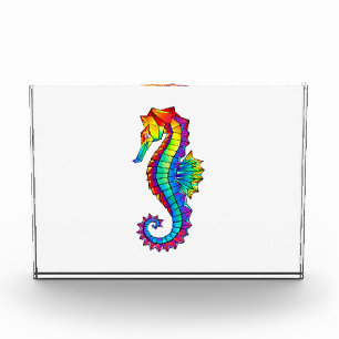 Rainbow Polygonal Seahorse Photo Block