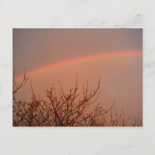 Rainbow Postcard