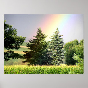 Rainbow Poster