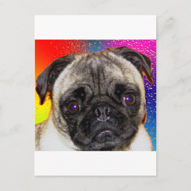 Rainbow Pug Postcard (Front)