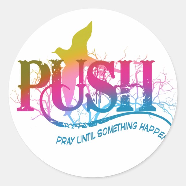 Rainbow PUSH Classic Round Sticker (Front)