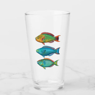 Rainbow, Queen, and Stoplight Parrotfish Glass