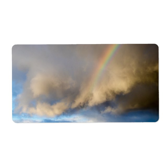 rainbow rebellion (Front)