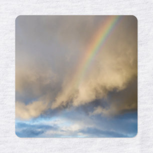 rainbow rebellion