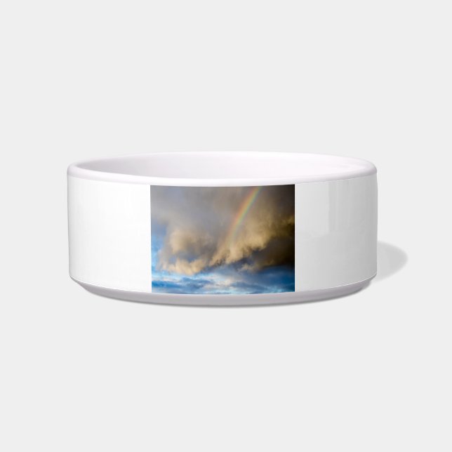 rainbow rebellion bowl (Front)