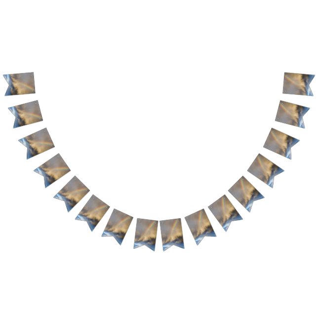 rainbow rebellion bunting  (All)