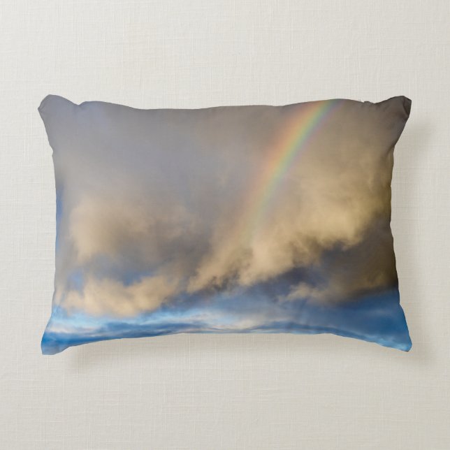 rainbow rebellion decorative cushion (Front)