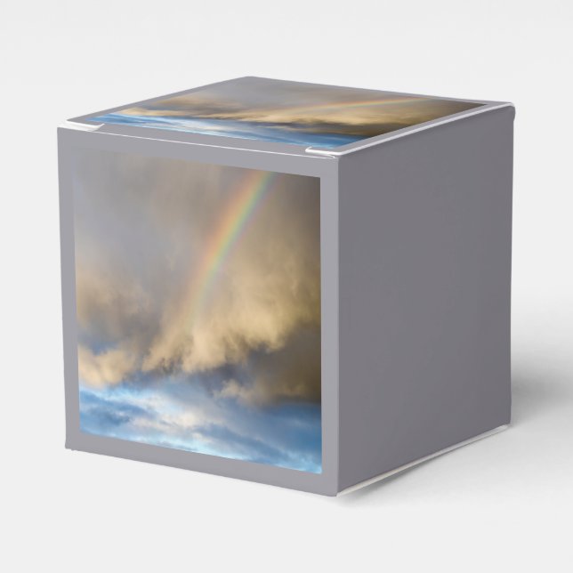 rainbow rebellion favour box (Front Side)