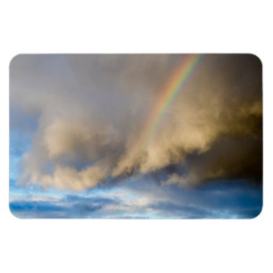 rainbow rebellion magnet