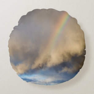 rainbow rebellion round cushion