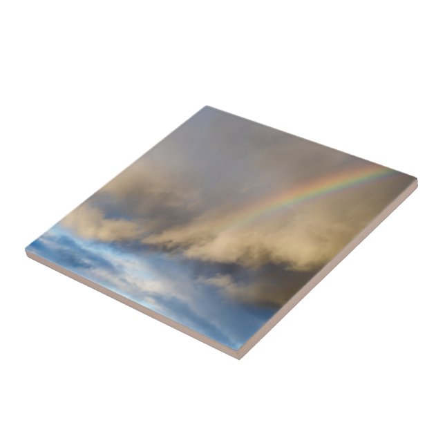 rainbow rebellion tile (Side)