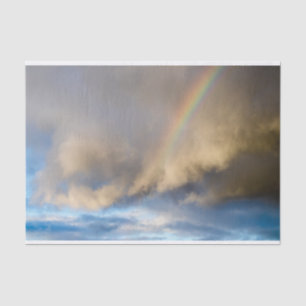 rainbow rebellion tissue paper