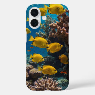 Rainbow Reef Scene iPhone 16 Case