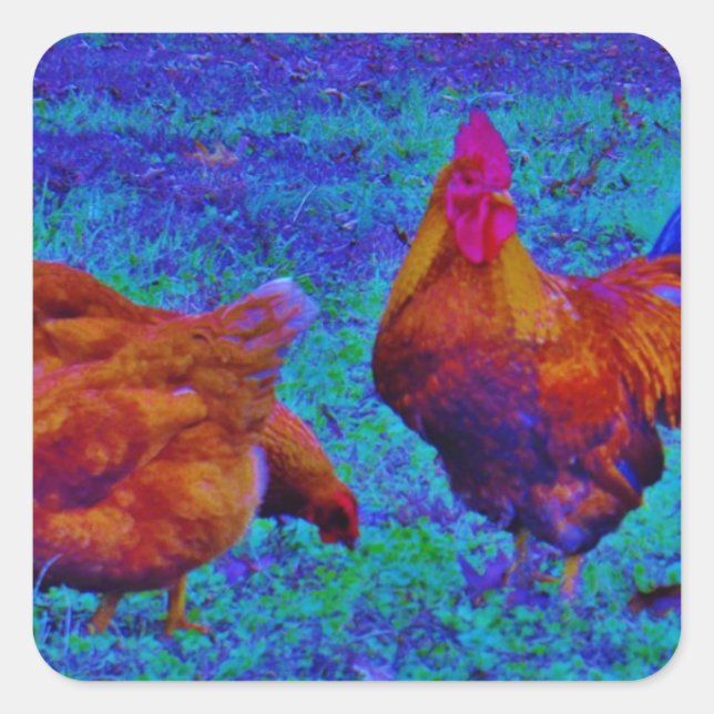 Rainbow Rooster & Hens, Electric Blue Square Sticker (Front)