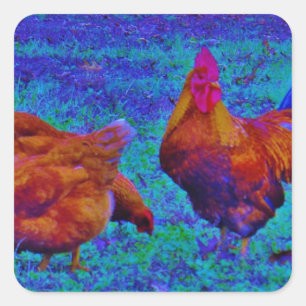 Rainbow Rooster & Hens, Electric Blue Square Sticker