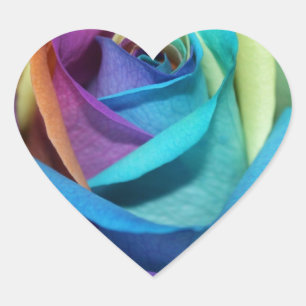 Rainbow Rose Flowers Peace Love Destiny Heart Sticker