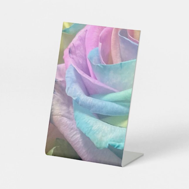 Rainbow rose  pedestal sign (Front)