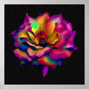 Rainbow Rose Poster