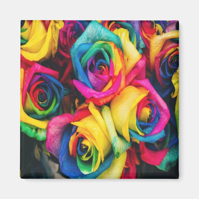 Rainbow Roses Bouquet Magnet (Front)