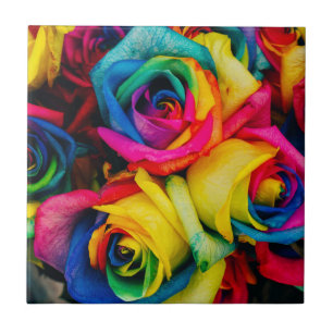 Rainbow Roses In Glorious Colour Tile