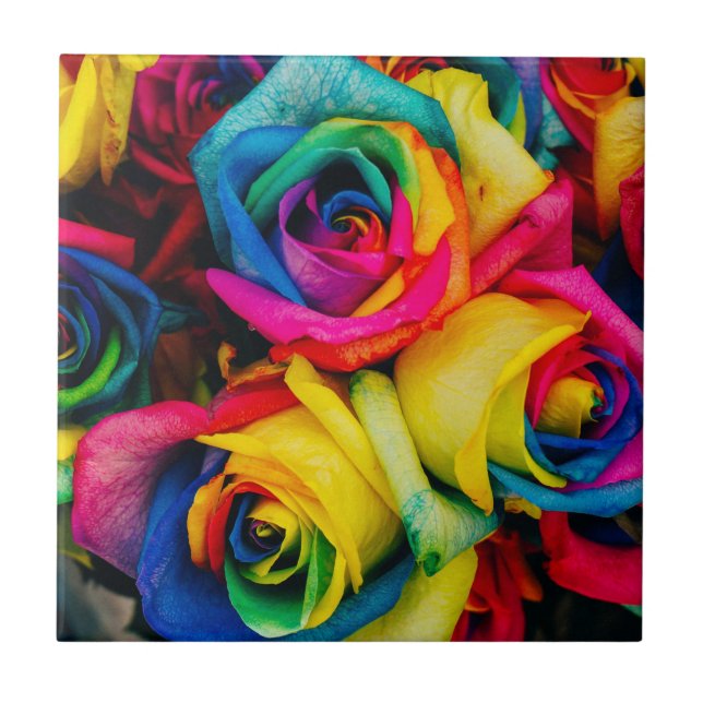 Rainbow Roses In Glorious Colour Tile (Front)