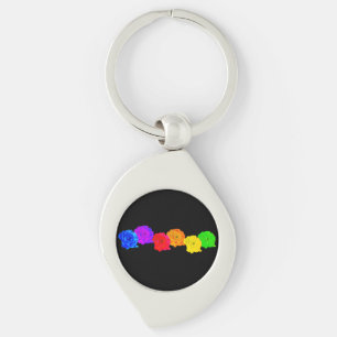 Rainbow Roses   Key Ring