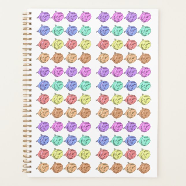 Rainbow Roses Planner (Front)
