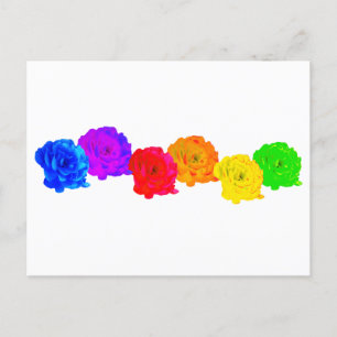 Rainbow Roses Postcard