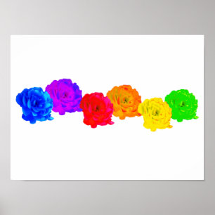 Rainbow Roses Poster