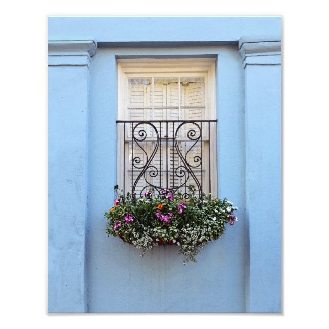 Rainbow Row Window Flower Box, Charleston, S.C. Photo Print (Front)