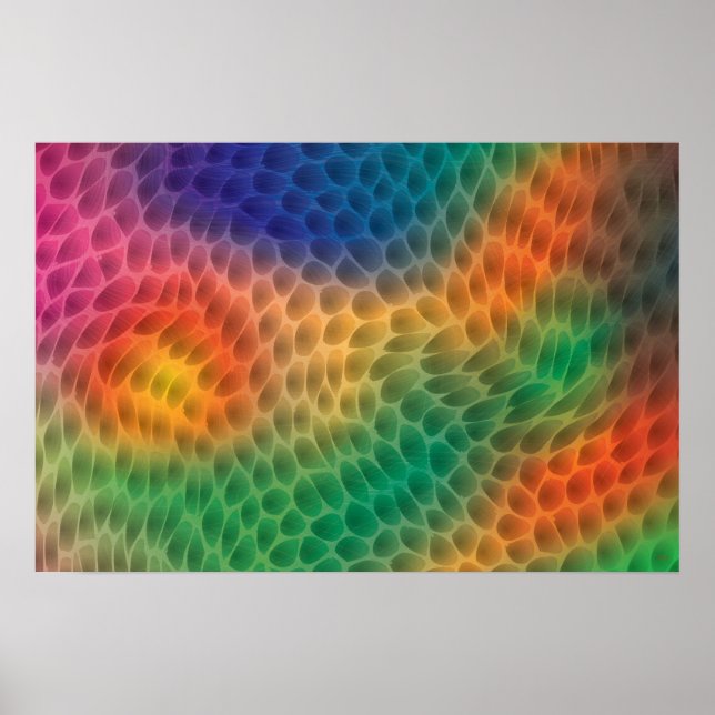 Rainbow Scales poster (Front)