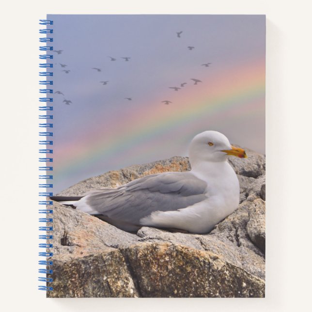 Rainbow Seagull  Notebook (Front)