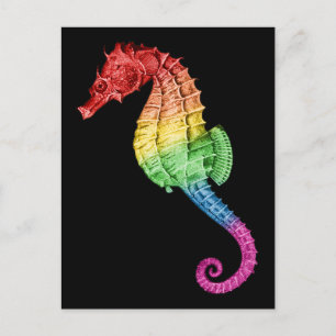 Rainbow Seahorse Postcard