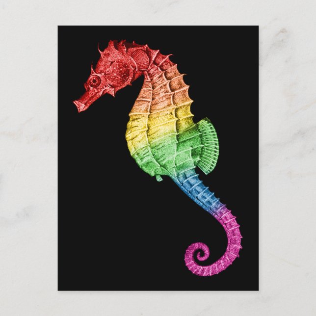 Rainbow Seahorse Postcard (Front)