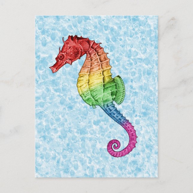 Rainbow Seahorse Postcard (Front)