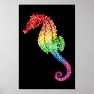 Rainbow Seahorse Poster