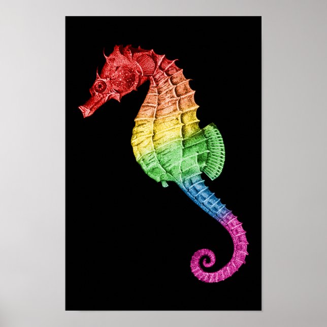 Rainbow Seahorse Poster (Front)